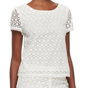 Joie Large Alsace Short Sleeve Floral Lace Top in cream